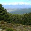 Above the treeline on the Luxmore grunt.