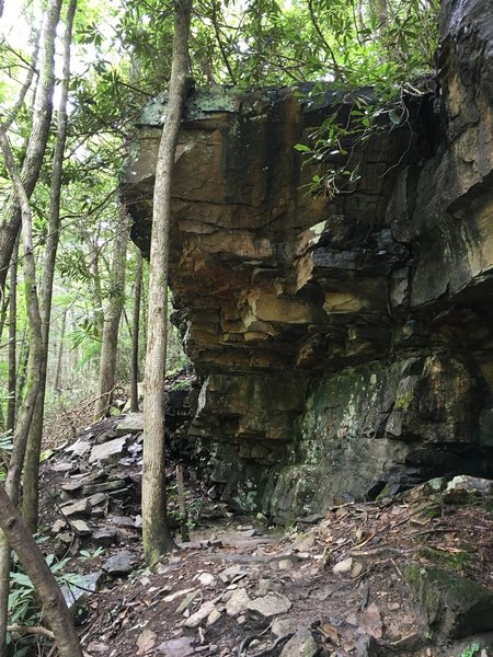 Rock overhang.