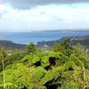 Views from trail start toward Manakau Harbour.