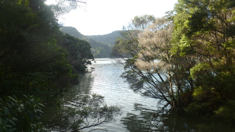 Lower Huia Dam.