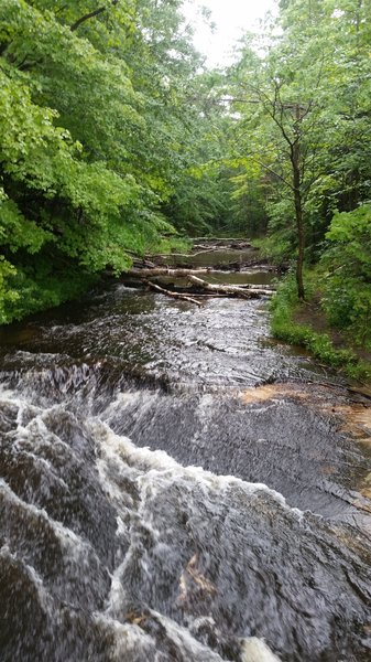 A fast flowing portion of the creek near Chapel Falls.