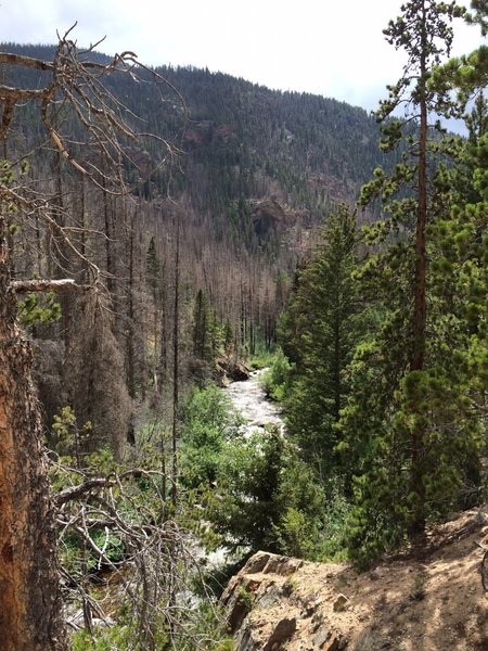 Great view of the Big Thompson River.