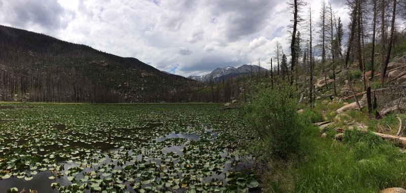 Views of Cub Lake on July 18, 2016