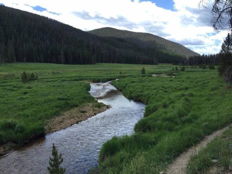 Tonahutu Meadows.  Just incredible beauty!