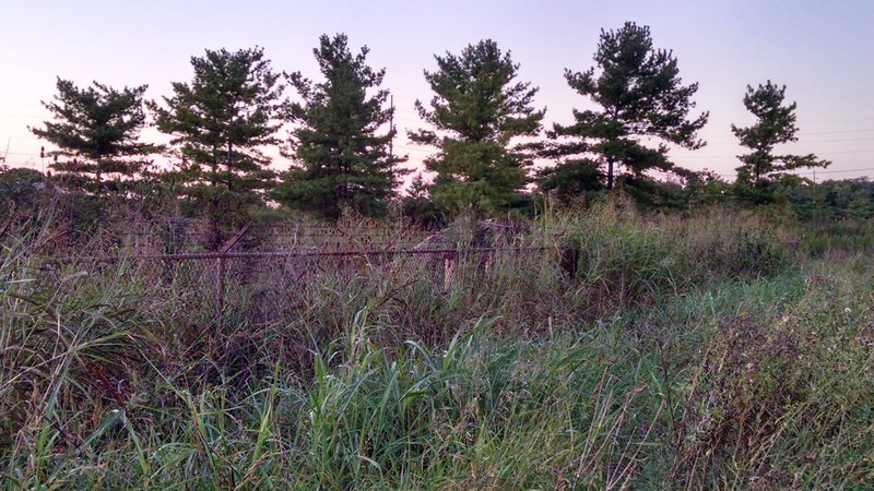 Future Farming Fields for Milkweed Plots