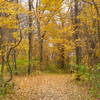 Highbanks Metro Park Columbus.