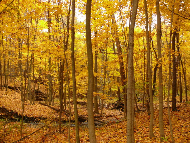 The colors are insane in Fall.