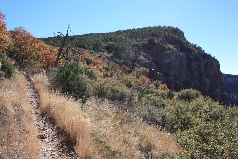 The Southwest Rim Trail through the dry grasses and cacti. with permission from Hobbes7714 Photo Credit: Andrew Wahr  Link: https://twitter.com/WahrAndrew