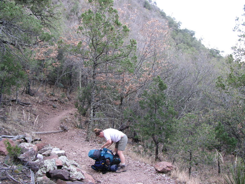 Heading up the Colima Trail.