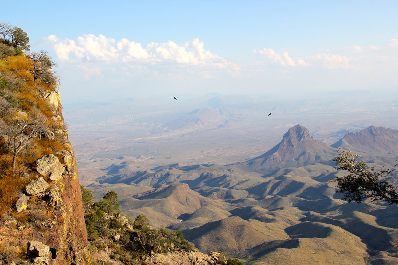 Birds soaring high above the Chihuahuan Desert from the South Rim.