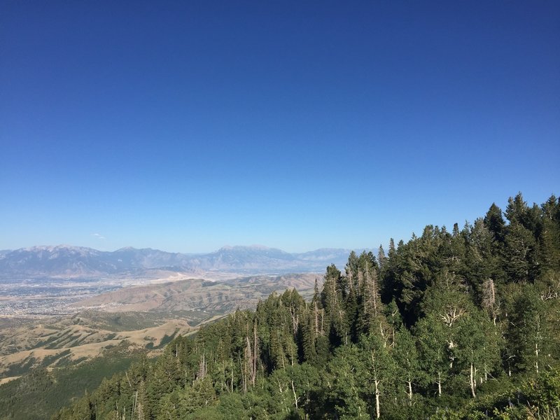 View from meadow toward Utah Valley.