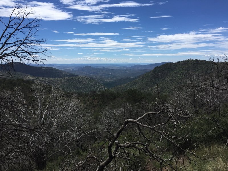 View from Limpia Chute Trail.