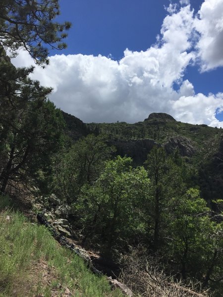 View of the peak of Mount Livermore.