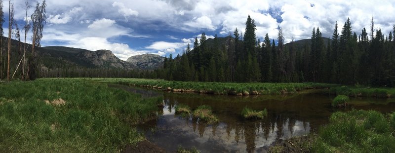 East Inlet meadow clearing