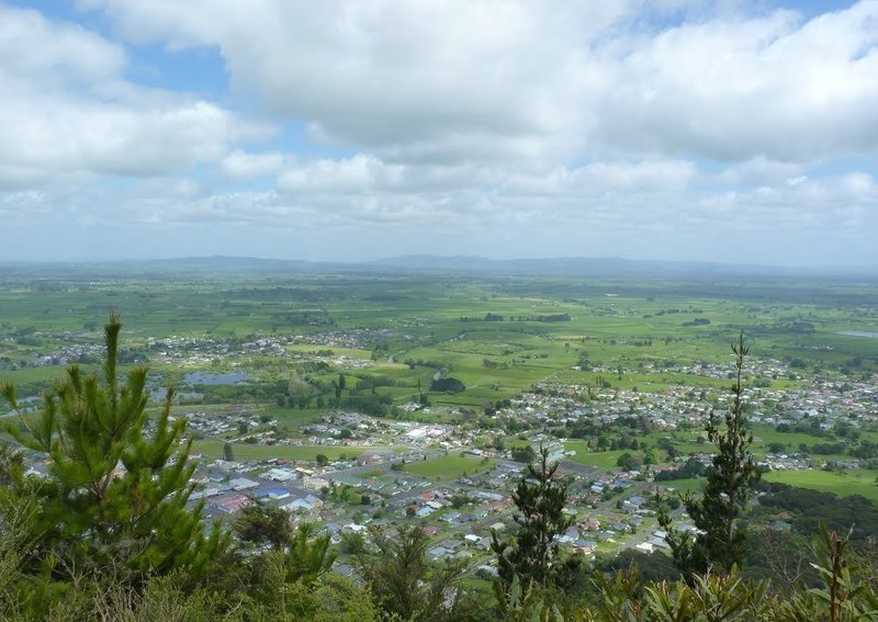 View of Te Aroha town from one of the lookouts.