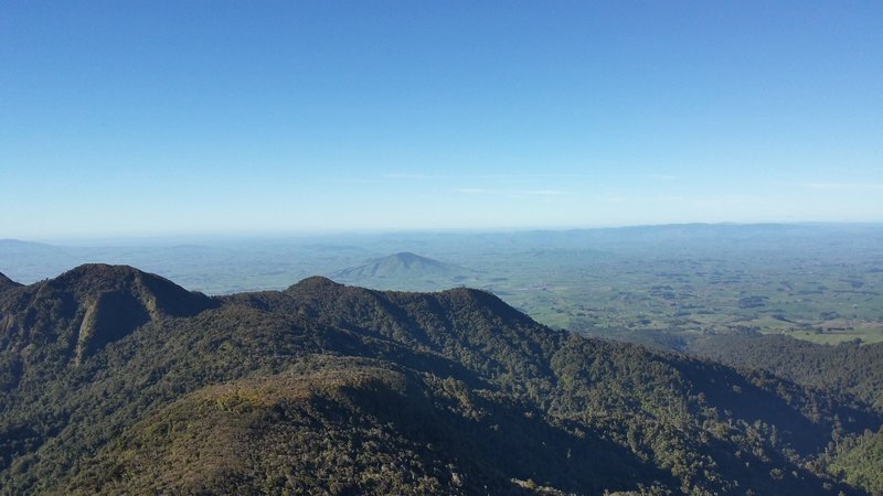 View across to Kakapuku from the Tahuanui Track near Pirongia Summit