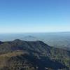 View across to Kakapuku from the Tahuanui Track near Pirongia Summit