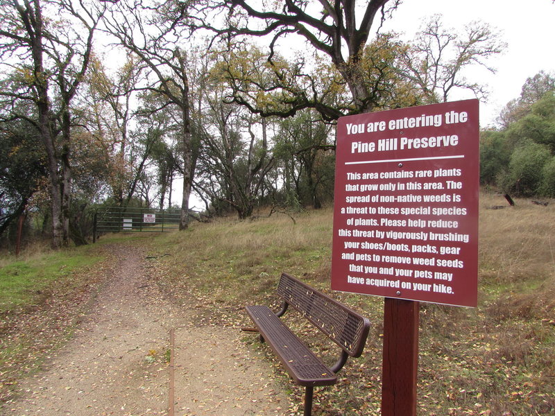 Pine Hill Preserve sign.