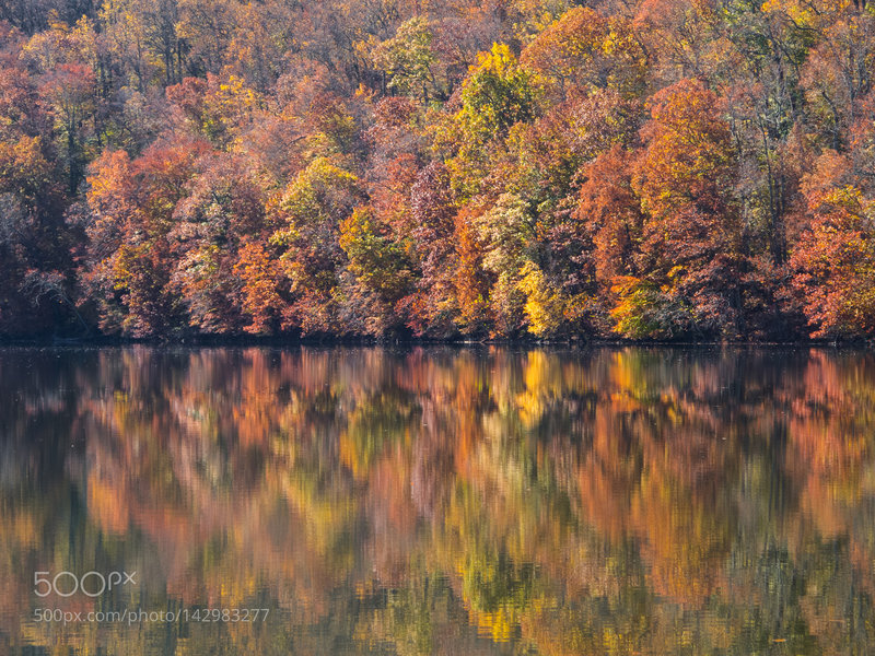 Awesome Fall colors at Loch Raven.