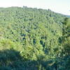 Kaniwhaniwha valley from Tahuanui Track. with permission from johnrag