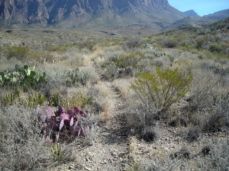 Near the start of Ward Spring trail, looking east. with permission from eliot_garvin