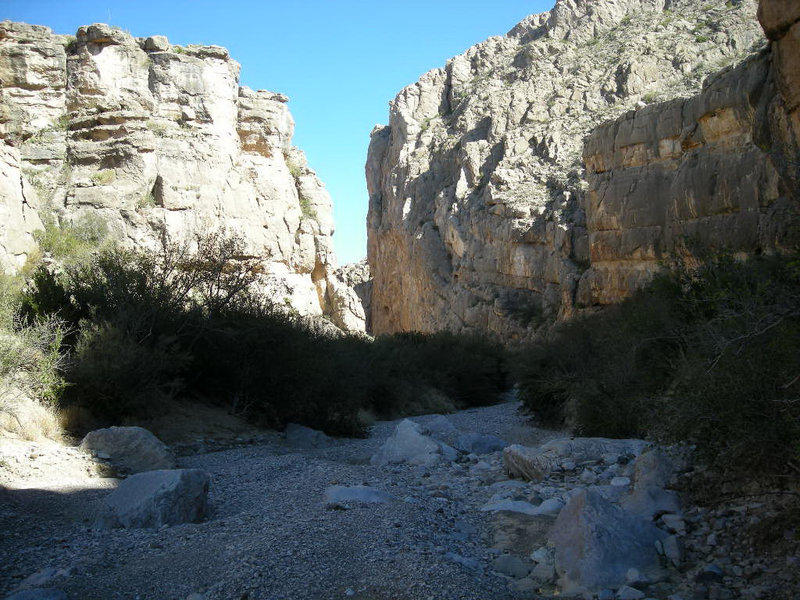 Looking up into Dog Canyon. with permission from eliot_garvin