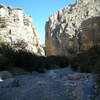 Looking up into Dog Canyon. with permission from eliot_garvin