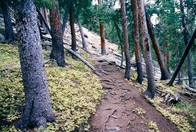 Climbing up to Holy Cross with permission from dreamer 200