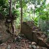 Jossie Gut Sugar Estate, Reef Bay Trail, Virgin Islands National Park, St. John, US Virgin Islands (USVI). with permission from virt_