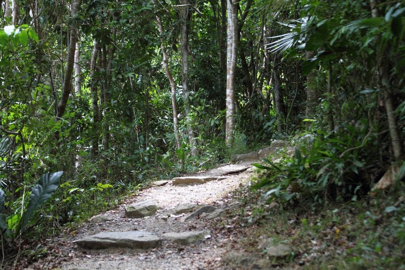 Reef Bay Trail, Virgin Islands National Park, St. John, US Virgin Islands (USVI). with permission from virt_