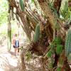 Keep any eye out for any prickly flora.