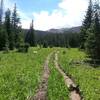 Nice flat part of the trail through a lush valley.