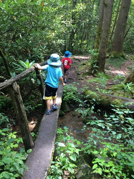 A small bridge crossing.