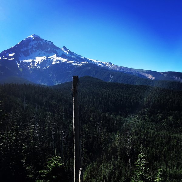 Mt. Hood from the Mt. Baldy Ridge.