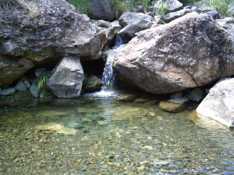 Running water below Tui Mine (unsafe).