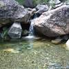 Running water below Tui Mine (unsafe).