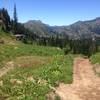 Looking back on the trail, you can just see the trail back to the little lake through the trees.