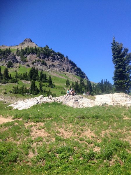 Looking up from the small lake.