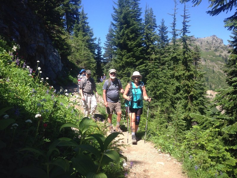 Wildflowers along the trail.