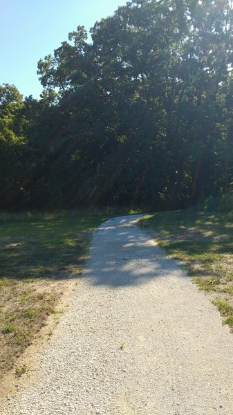 Jacks Loop Trailhead.