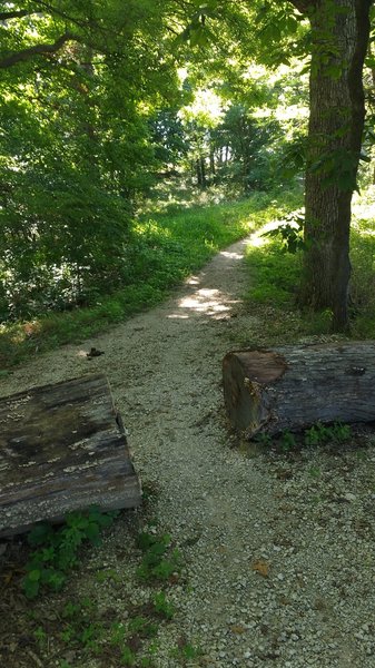 The trail is a 4-mile loop - you can go left or right at this point.