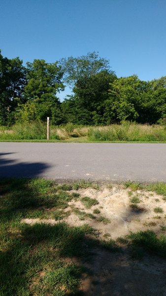 Crossing the entrance road.