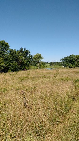 Prairie with a view of lake.