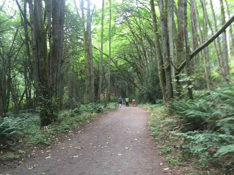 The path is generally wide and big jogging strollers are fine to use.