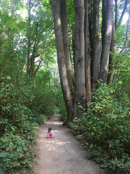 Great trail for running or for kids!