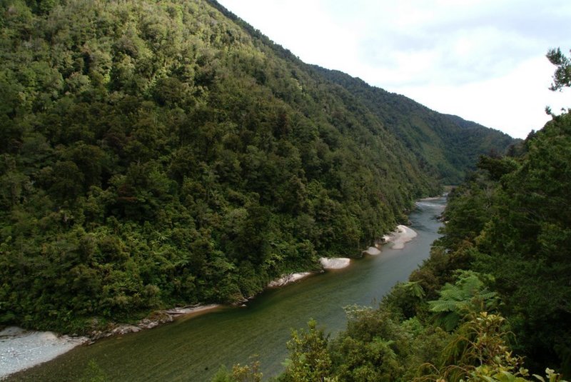 Mokihunui New Zealand Rough & Tumble River long view down the river.