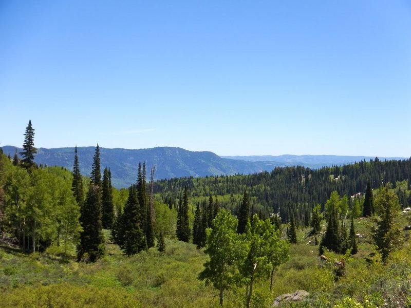 Logan Canyon.