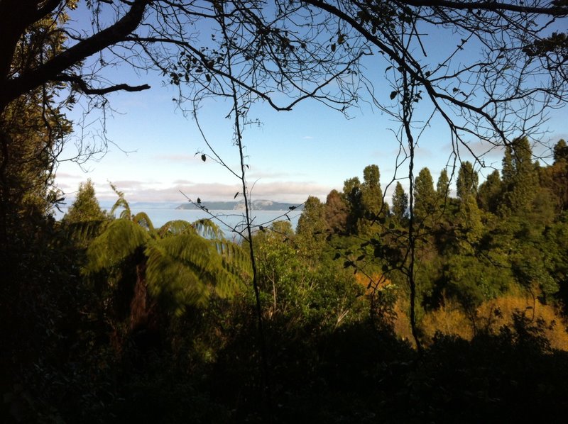 Lake views on the descent to Kawakawa Bay.