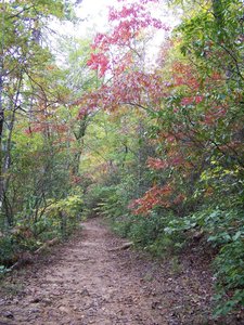 Paris mountain hotsell state park hiking