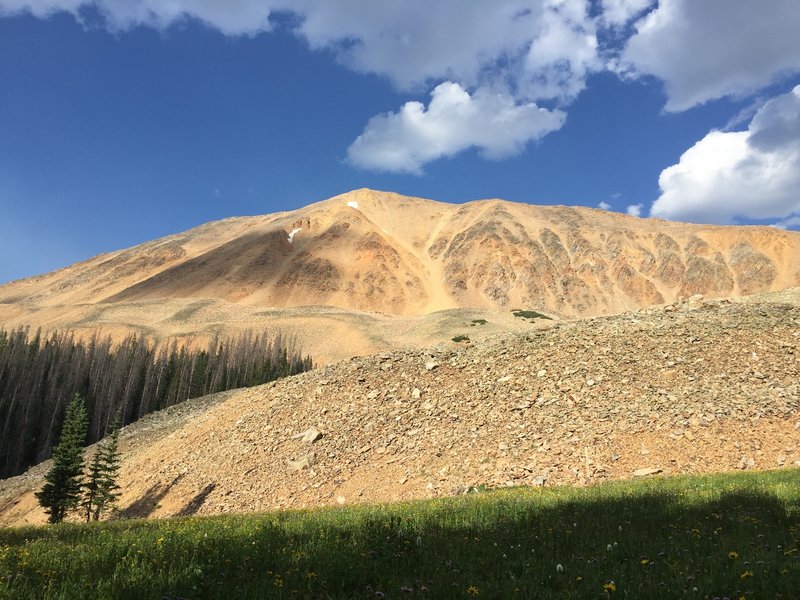 View of Mount Cumulus from treeline.